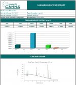 Panama x Bangi Haze análisis de cannabinoides.jpg
