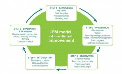 IPM-model-of-continual-improvement.jpg