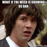 what-if-the-weed-is-growing-us-dan.jpg