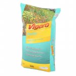 vigoro-grow-media-100521091-64_1000.jpg