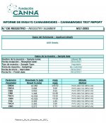 Líbano 35  análisis de cannabinoides.jpg
