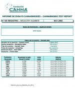 Líbano 34 - 2  análisis de cannabinoides.jpg