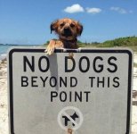 No_Dogs_Beyond_This_Point.jpg
