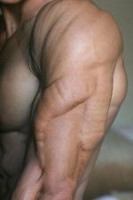 muscles.jpg