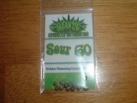 Sour 60 Seed pack.jpg