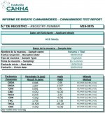 Panama x Tikal análisis de cannabinoides.jpg