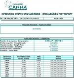 ErdPurt A x CBD 1 #8 análisis de cannabinoides.jpg
