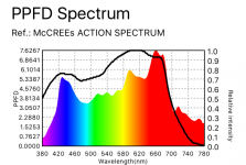 My spectrum
