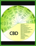cbd-chart-wheel.jpg