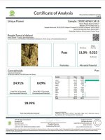 Purple Zamal x Malawi Killer cannabinoid analysis UniqueFlower.jpg