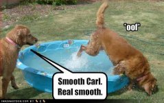 funny-dog-pictures-smooth-carl1.jpg