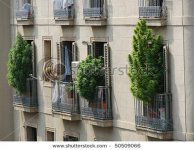stock-photo-marihuana-bushes-on-balconies-of-barcelona-spain-catalonia-50509066.jpg