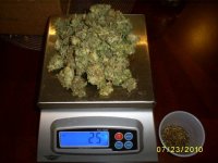 dry weight & curing1.JPG