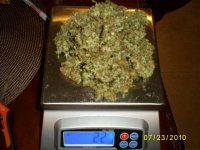 dry weight & curing2.JPG