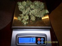 dry weight & curing3.JPG
