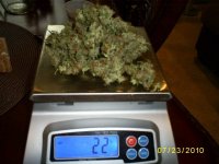 dry weight & curing4.JPG