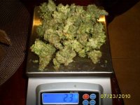 dry weight & curing5.JPG