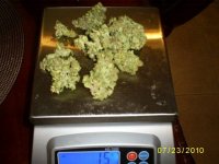 dry weight & curing6.JPG