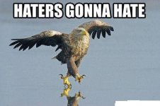 haters-gonna-hate-eagle-water.jpg