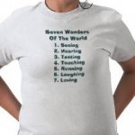 seven_wonders_of_the_world_tshirt-p235360764822045595t58d_210.jpg