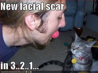 funny-pictures-human-is-about-to-get-a-new-facial-scar.jpg