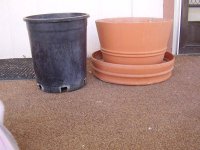 This show how the new pot is lower and wider