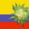 ColombianGold
