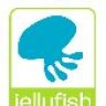 DJ Jellyfish