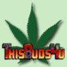 ThisBuds4You