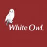 WhiteOwl