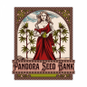 PandoraSeedBank