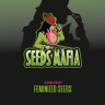 Seeds Mafia