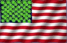 16141legalization-of-marijuana-2-715252.jpg