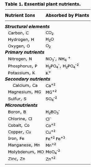 5976table2.jpg