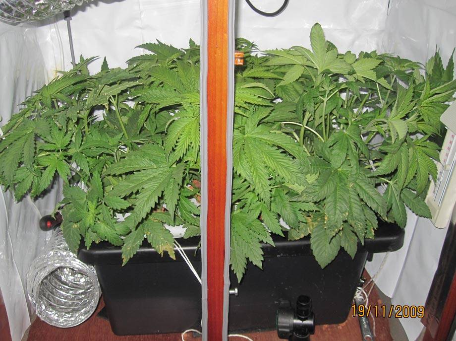 overviewday27F5_trained.jpg