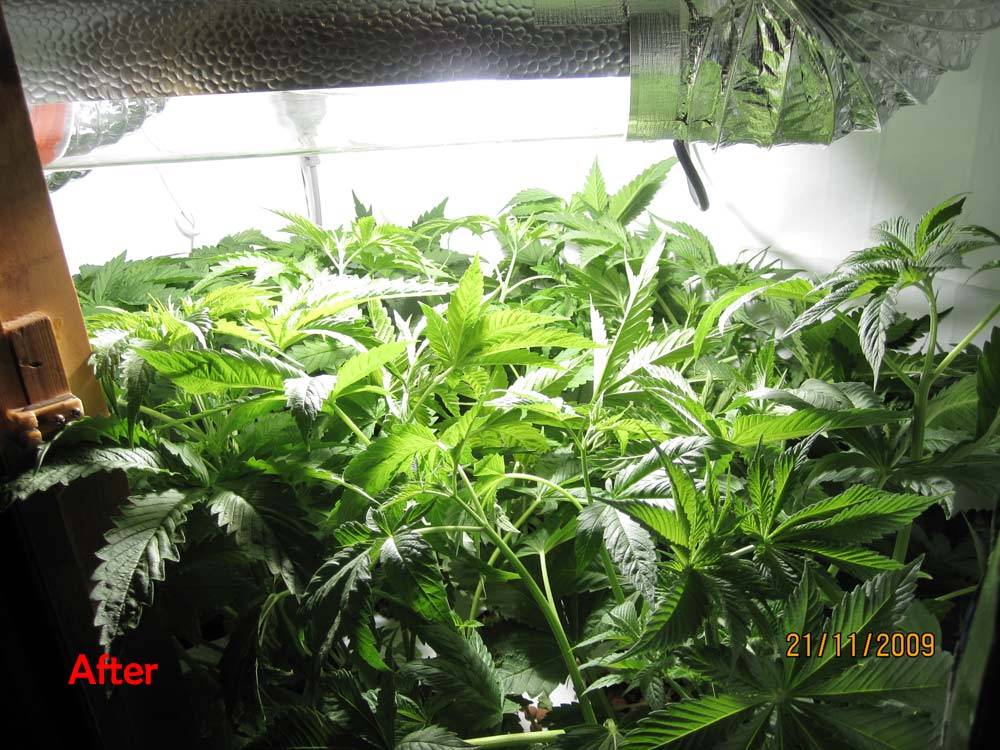 overviewday29F7_trained.jpg
