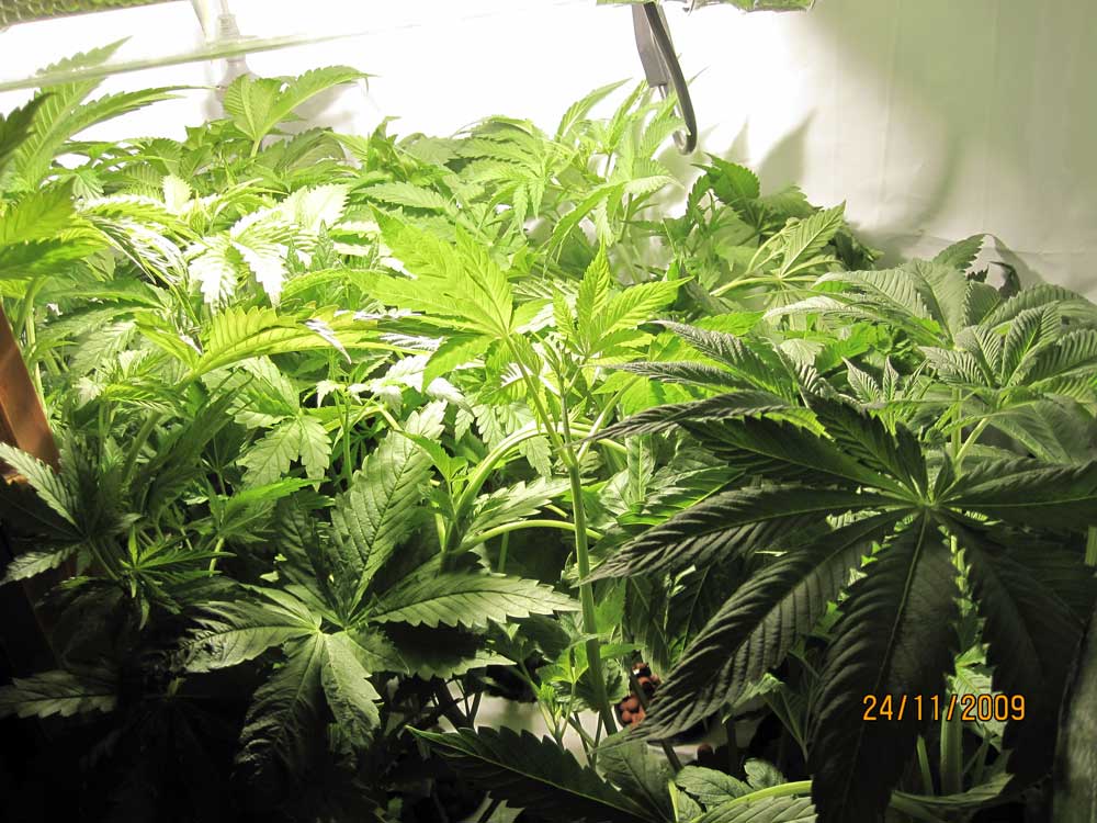 overviewday32F10_trained.jpg