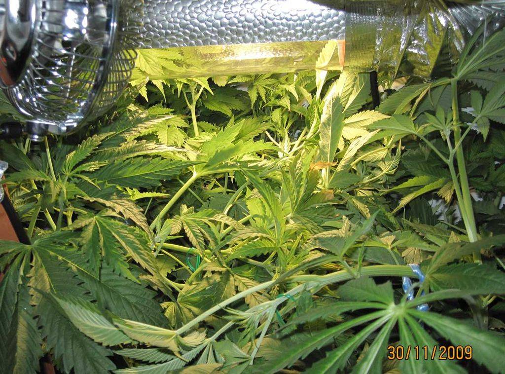 overviewday38F16_trained.jpg