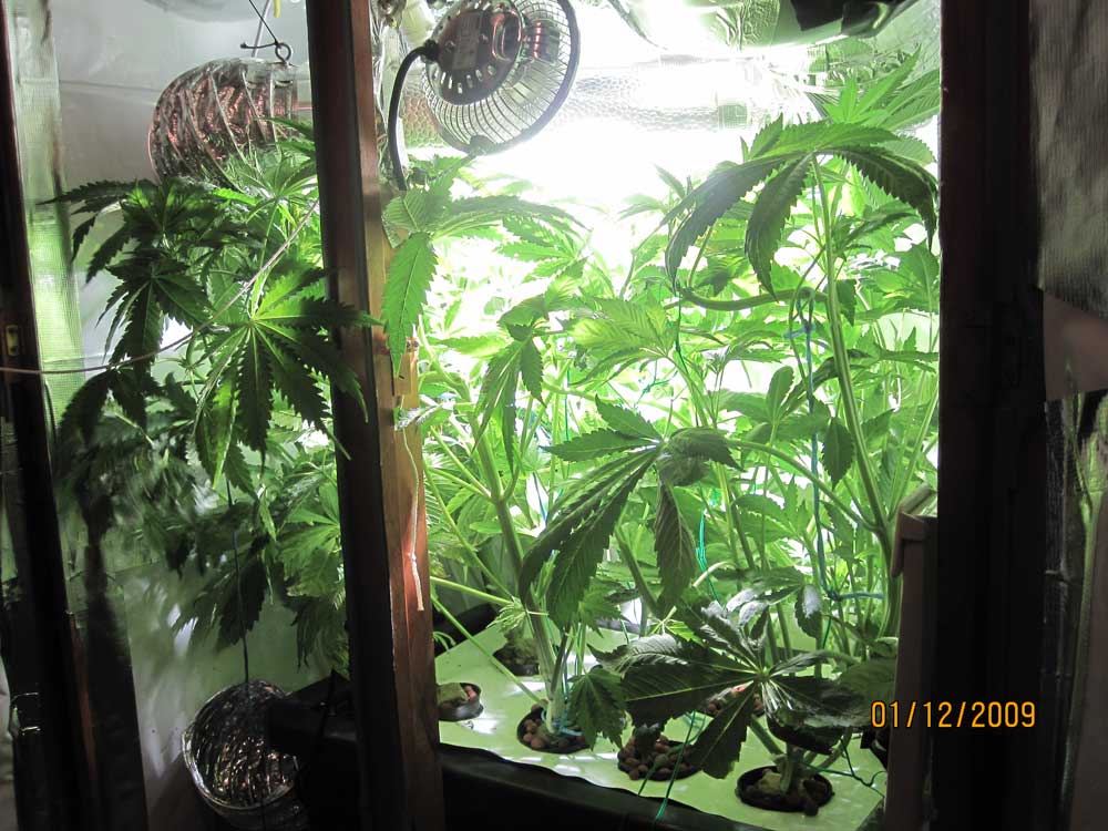 overviewday38F17_trained2.jpg